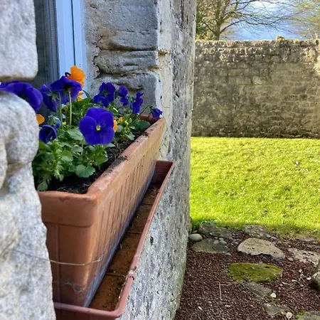 Maison 2 Avec Espace Exterieur Prive Et Petit-dejeuner En Supplement - Fait-maison Et Produits Locaux ヴィエルヴィル・シュル・メール